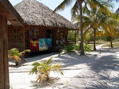 2004 Cuba, Cayo Levisa, DSC00667 B_B720